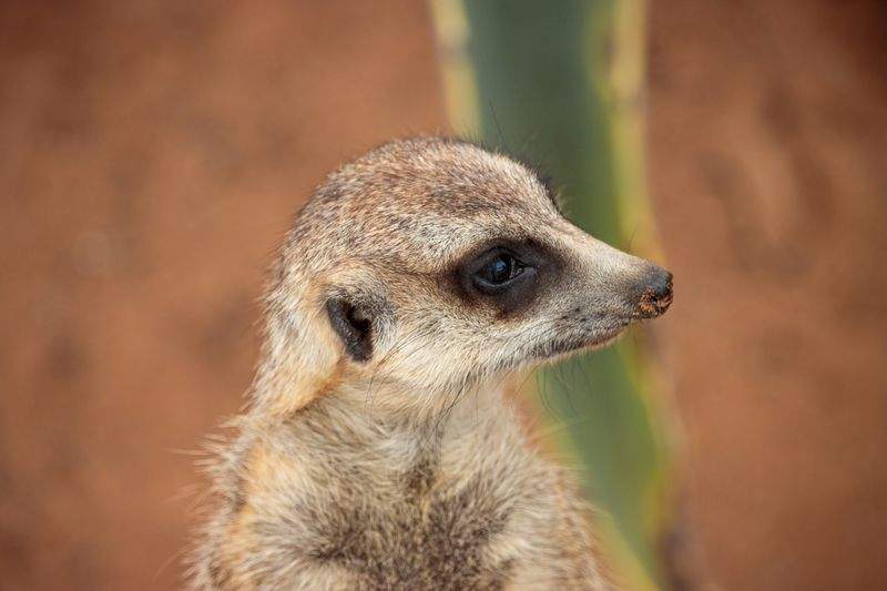 アニマルケアジャパン株式会社 - Image 11