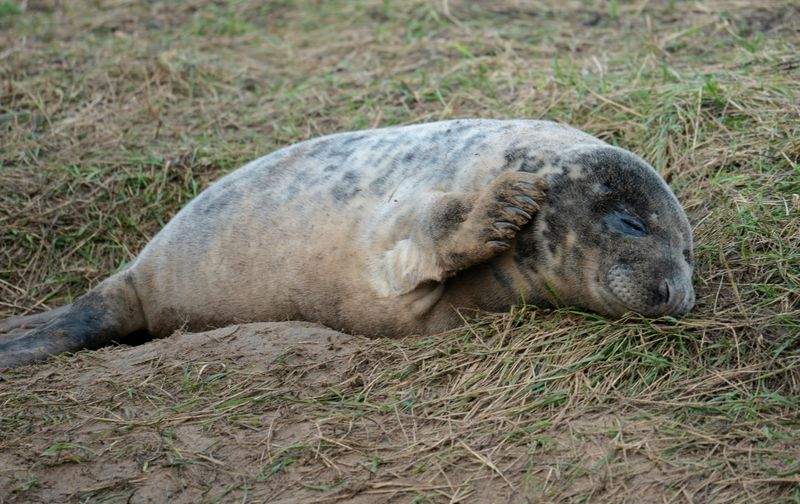 アニマルケアジャパン株式会社 - Image 14